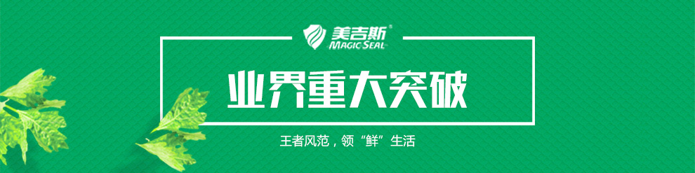 
                                                                                美吉斯（MAGIC SEAL） 美吉斯MS1160立式全自动真空包装机食品保鲜机小型家用                
