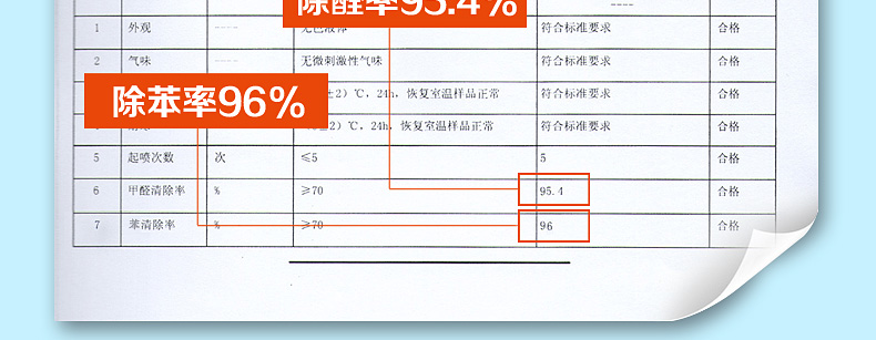 绿驰 母婴房/急入住/重污染100～120㎡装修污染治理 闪击安全除甲醛苯除味送4个检测盒