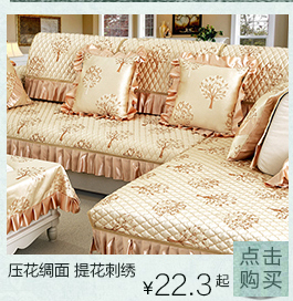 泊远 现代简约布艺沙发垫四季实木沙发套罩巾定做坐垫 红悦 70*120cm 单片