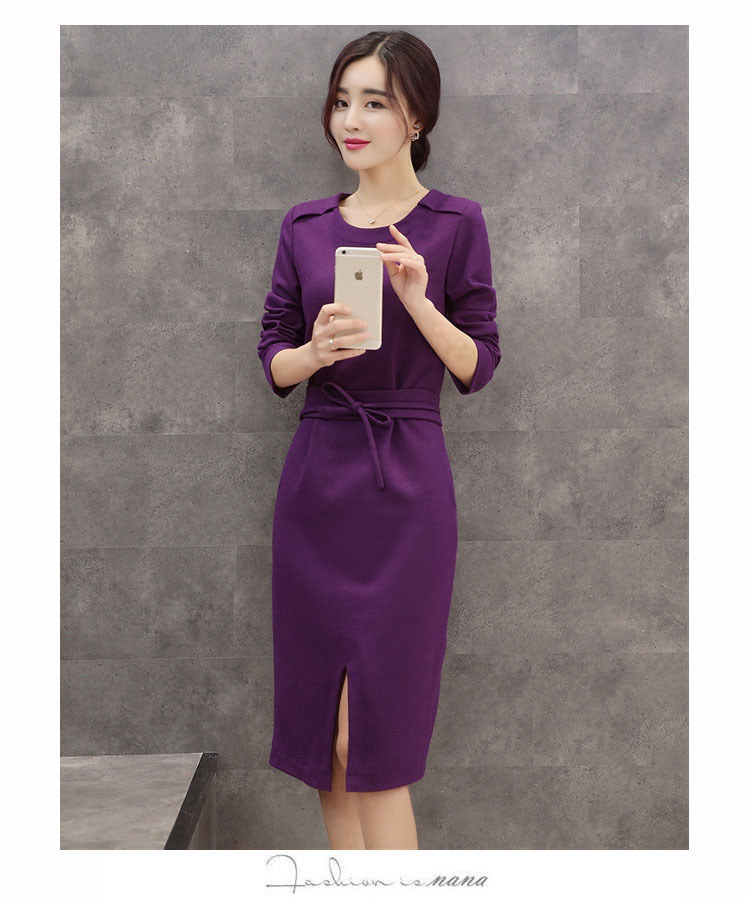 莱瑞丽 2015秋冬女装装新款长袖毛呢连衣裙 9051 图片色 M