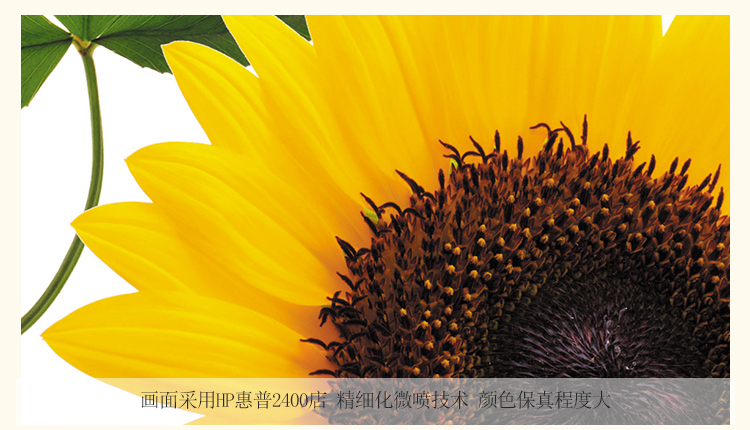 孖堡家居无框画油画 走廊现代简约装饰画 客厅卧室沙发背景挂画壁画墙画 无框画三联画 向日葵 70cm*70cm*3副