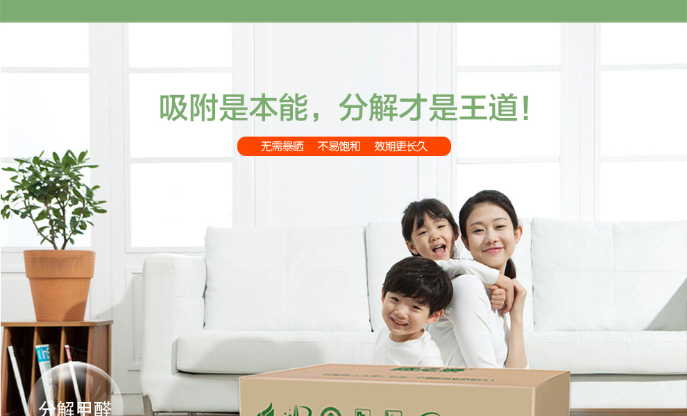 格林·森特 藻钙装修除甲醛空气净化系列 新房装修家具去除甲醛苯油漆味 甲醛甲苯异味清除剂 装修除醛宝 200G*16袋/箱