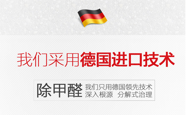 
                                        易卫士 德国进口汽车除味剂 新车除甲醛除异味喷雾车用甲醛清除剂 车内除味剂 汽车甲醛治理单瓶装200ml                