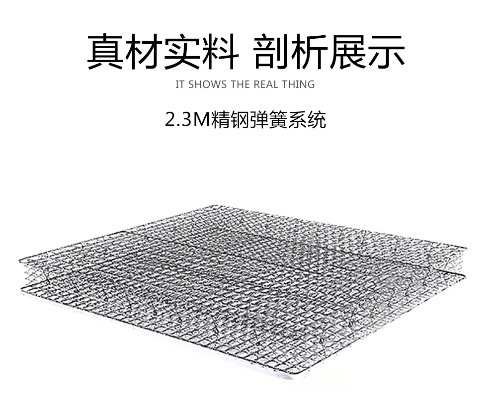 鹏景雅居 半棕半簧床垫 山椰棕弹簧床垫 软硬两用 卧室家具 h-29 20cm