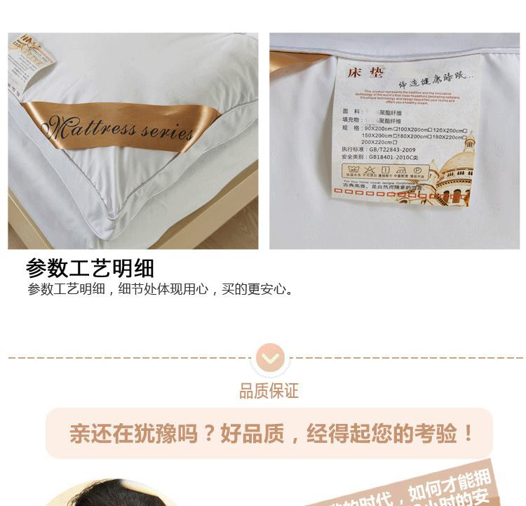 
                                        度艾妮家纺 羽丝绒床垫床褥子 加厚柔软舒适 单双人学生宿舍垫被 灰色-标准5cm 90*200cm                