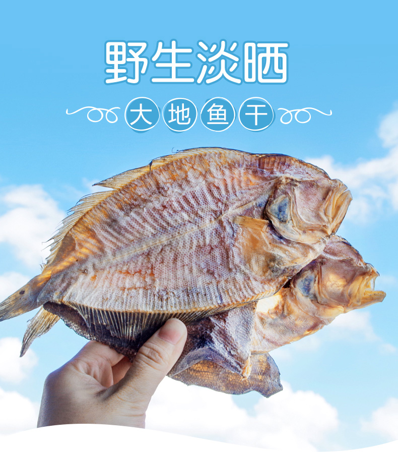 大地鱼干北海特产鱼干干货 方鱼 上汤底料 煲汤250g