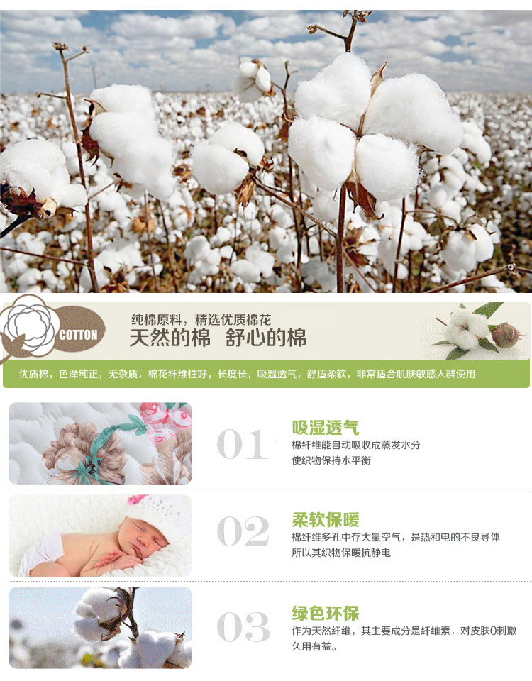 
                                        蓓柔蔓全棉斜纹沙发垫布艺坐垫防滑沙发巾沙发套 奢香 70*70cm单条                