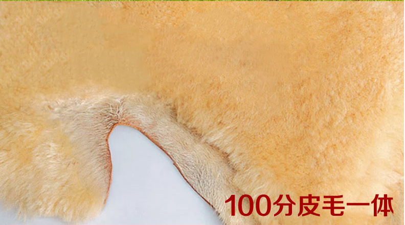 
                                                                                奥林百逸雅澳洲皮毛一体羊毛地毯羊毛垫飘窗垫门前垫客厅茶几垫卧室床边毯床前垫 象牙白 2P精品级（宫廷皇家专用）                