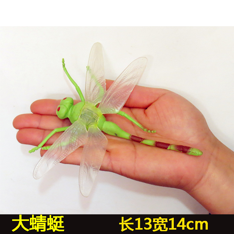 仿真昆虫动物模型玩具瓢虫毛毛虫蝎子蜘蛛蜻蜓蜜蜂蚂蚱螳螂蝉 大螳螂