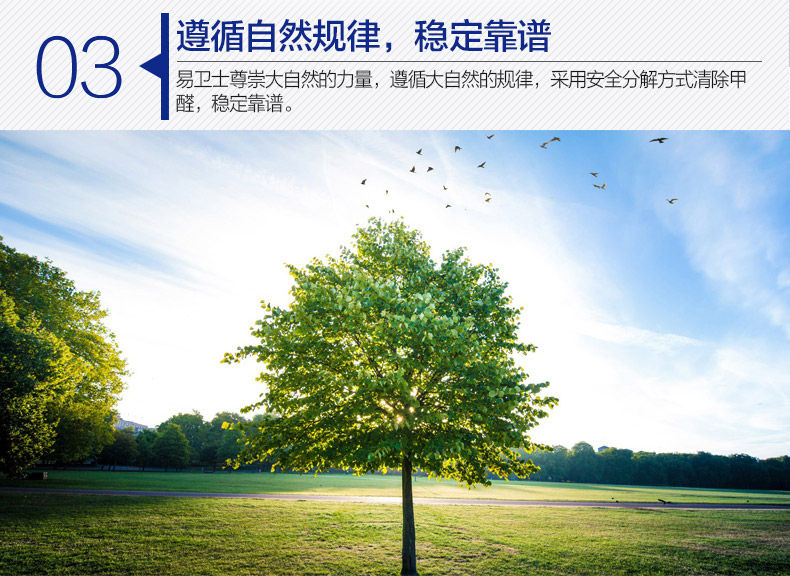 
                                                                                易卫士 德国进口汽车除味剂 新车除甲醛除异味喷雾车用甲醛清除剂 车内除味剂 新车甲醛治理加强型220ml(金色)                