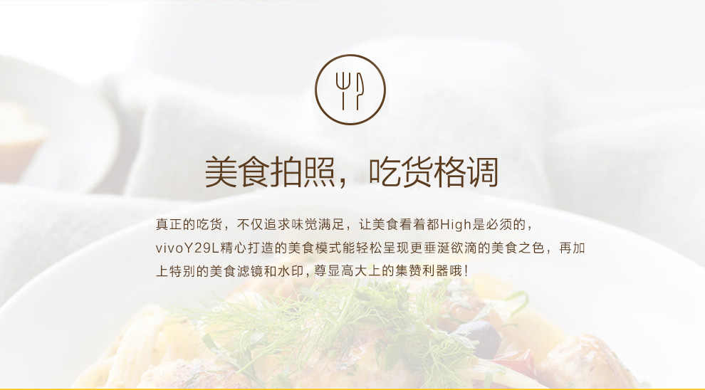 vivo Y29L  双卡双待 雪山白 移动4G手机