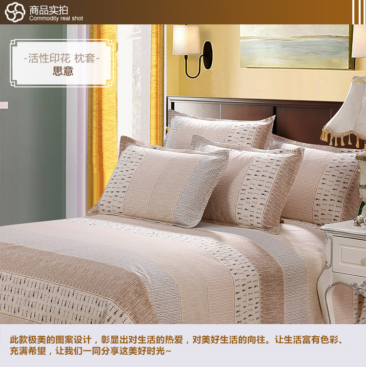 
                                        美棉坊家纺 全棉印花枕套 床上用品 粗布/活性印花/几何/大气枕套 夏之风-枕套                