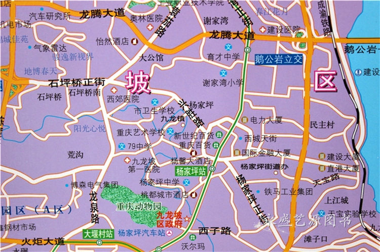 常住人口登记卡_重庆市主城区常住人口