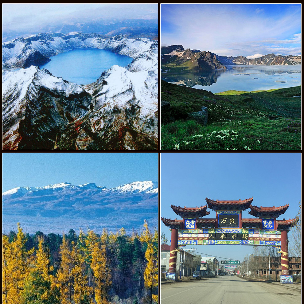 林芝源 天麻片 泡酒药材 长白山野生天麻 整个天麻 鲜