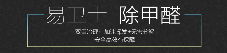 
                                        易卫士 德国进口除甲醛清除剂 去除甲醛喷剂 新房室内装修净化空气家具除味 一套(1瓶喷雾+4支雾化剂)                