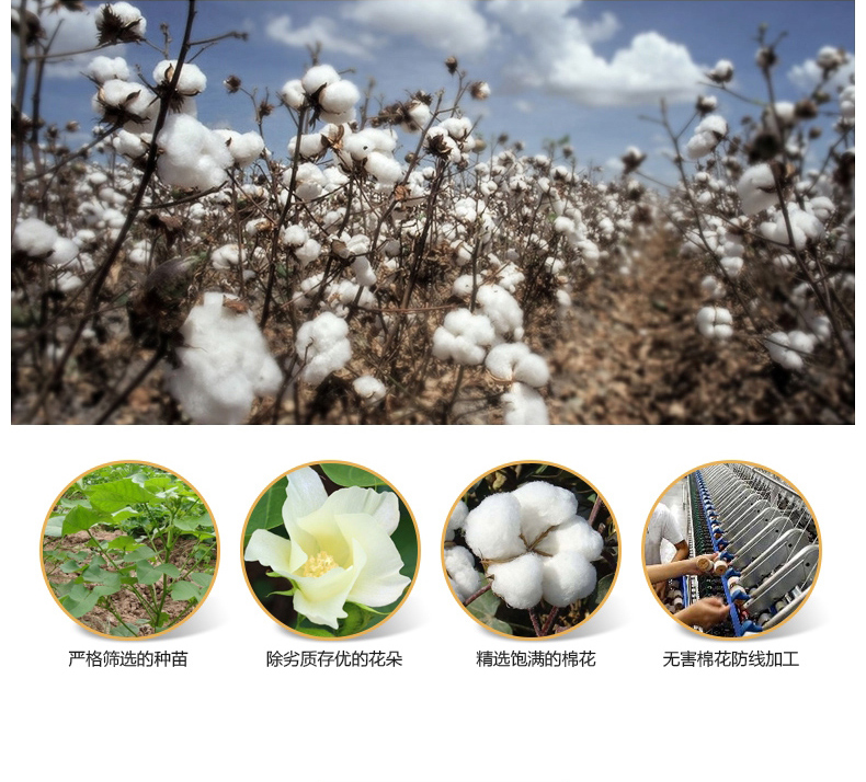 
                                        亦梦 夏季凉席凉垫沙发垫套装通用藤竹坐垫子竹垫竹席组合 可定制 黎洛 80*210cm(单条装)                