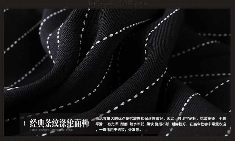 隆缘裳2015秋季新款女装套装 休闲翻领衬衫条纹马甲铅笔裤显瘦三件套职业装套装女6569 条纹. S