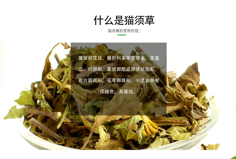 汉资堂猫须草茶猫须草云南猫须草茶肾茶猫须草100g