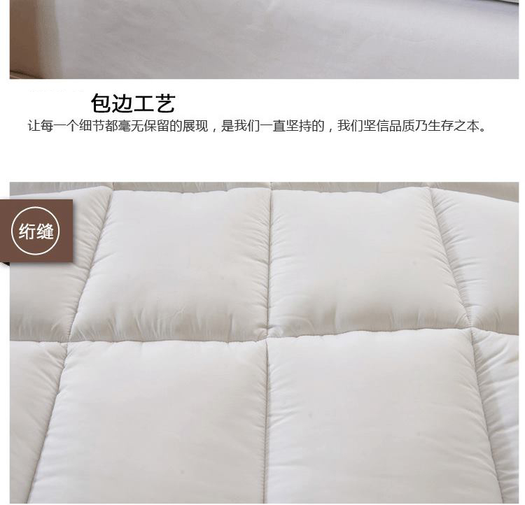 
                                        度艾妮家纺 羽丝绒床垫床褥子 加厚柔软舒适 单双人学生宿舍垫被 灰色-标准5cm 90*200cm                