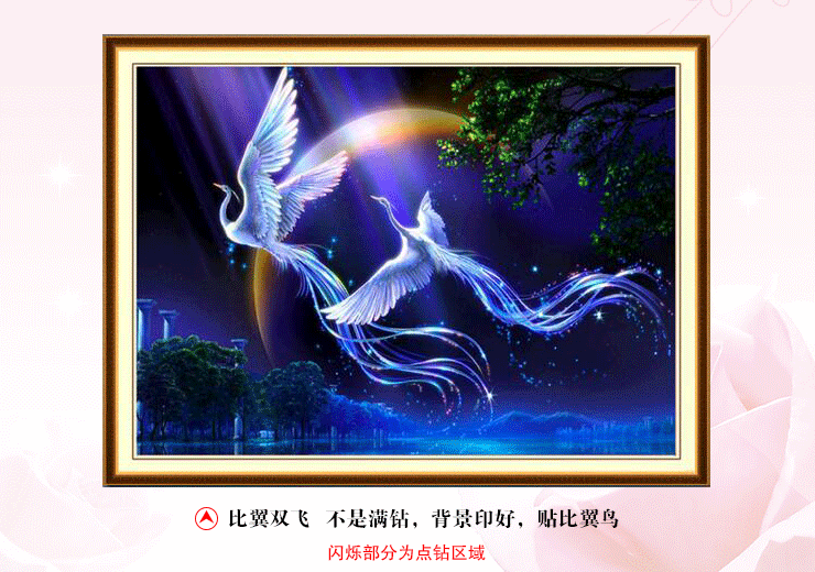 找凤凰孔雀动态图 动态孔雀