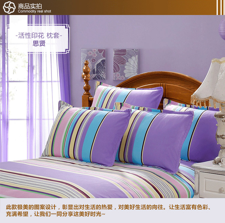 
                                        美棉坊家纺 全棉印花枕套 床上用品 粗布/活性印花/几何/大气枕套 夏之风-枕套                