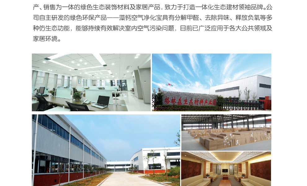 格林·森特 藻钙汽车除甲醛去味800g 汽车除味专用车用空气清新 新车净化去味除甲醛