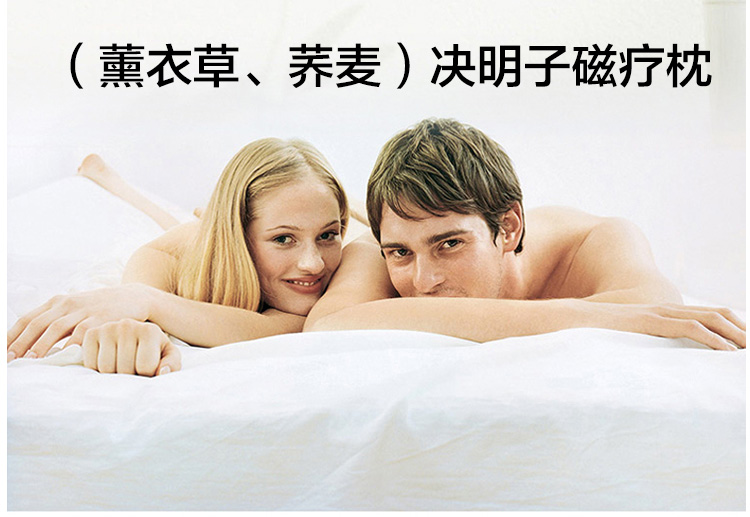 
                                                            枕芯枕头决明子薰衣草荞麦药草护颈枕学生宿舍单人枕头芯一对拍2 蓝格-单只装                