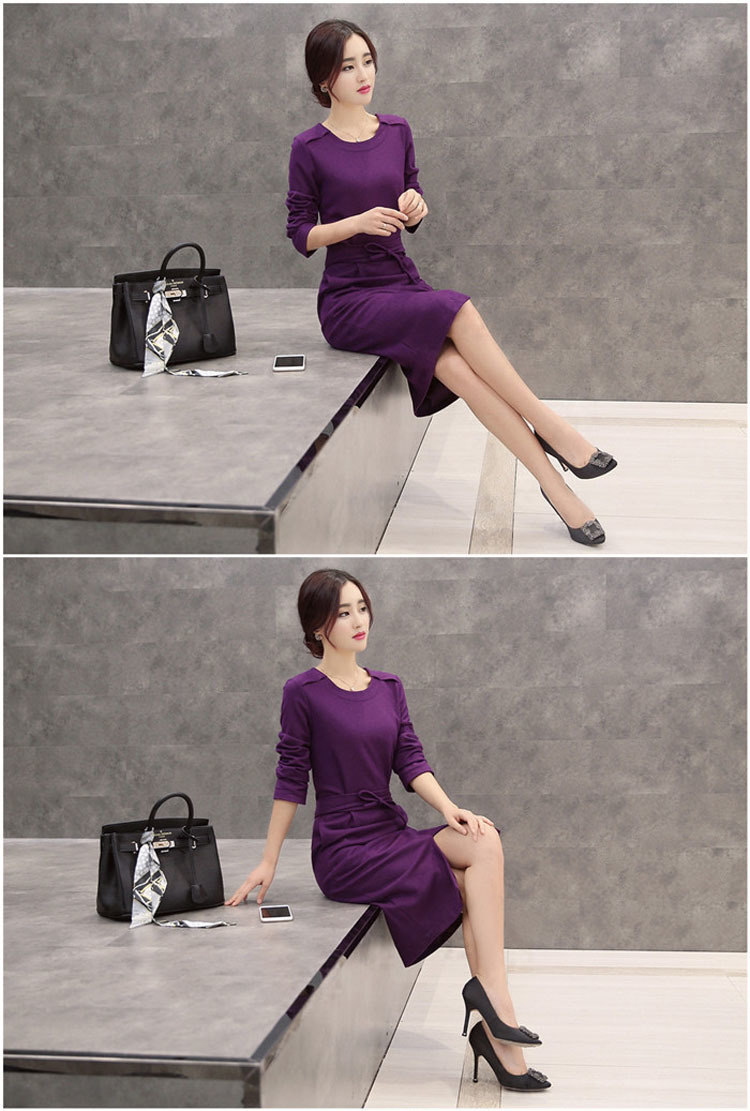 莱瑞丽 2015秋冬女装装新款长袖毛呢连衣裙 9051 图片色 M
