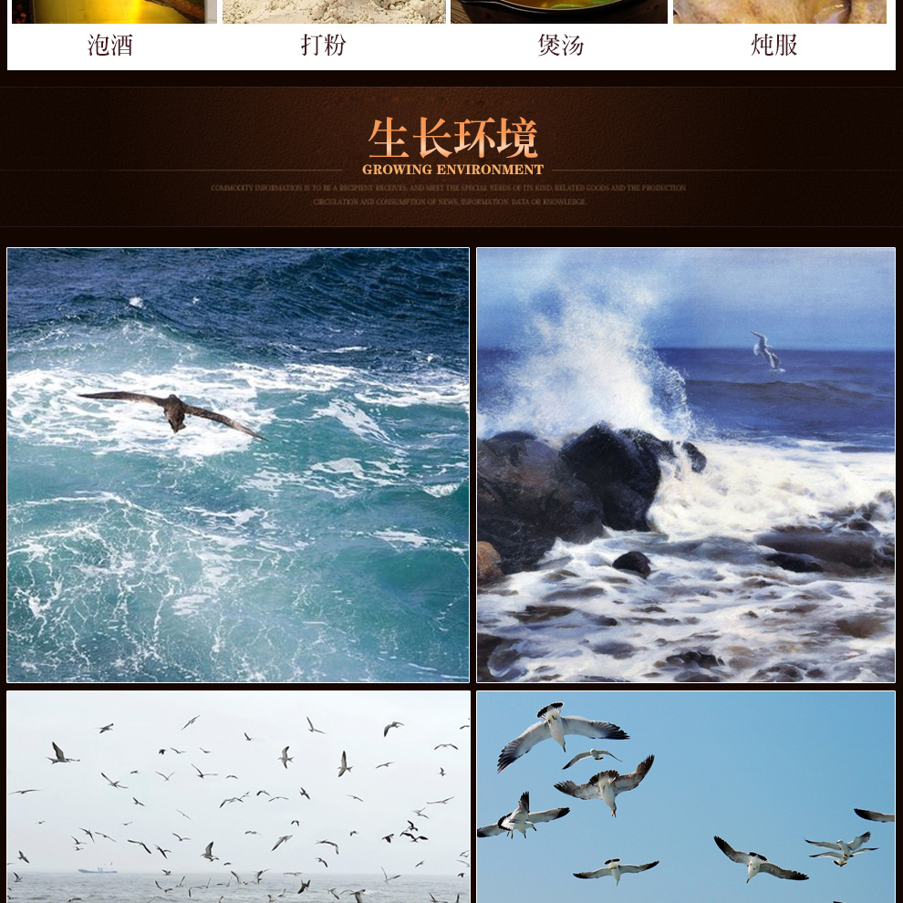 海燕 泡酒料 海龙 海星 海马 海燕3对