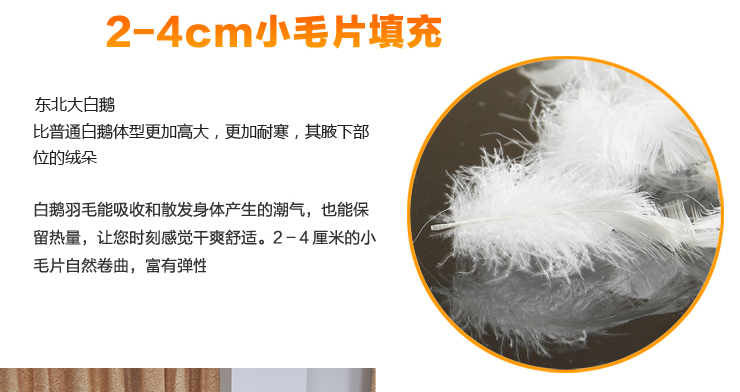 
                                                                                吾家元素白鹅毛羽绒靠垫芯抱枕芯子 床头靠枕沙发办公室腰托多规格可选 白色 45*45cm一个装                