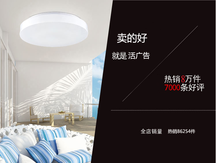 
                                                                                ESDIMANLED吸顶灯现代简约卧室灯餐厅灯具客厅灯饰2254 直径40cmLED白光24w                