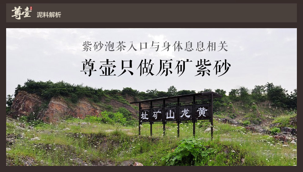
                                                            尊壶 宜兴梅兰竹菊紫砂杯475ml 蟹黄泥三件杯紫砂茶杯泡茶杯紫砂盖杯带盖过滤 单色竹                