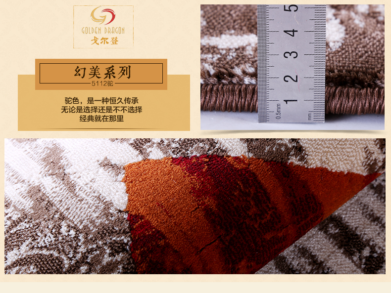戈尔登地毯 土耳其进口现代简约客厅茶几地毯 卧室沙发垫房间地毯 土耳其进口7004黑 160cmx230cm