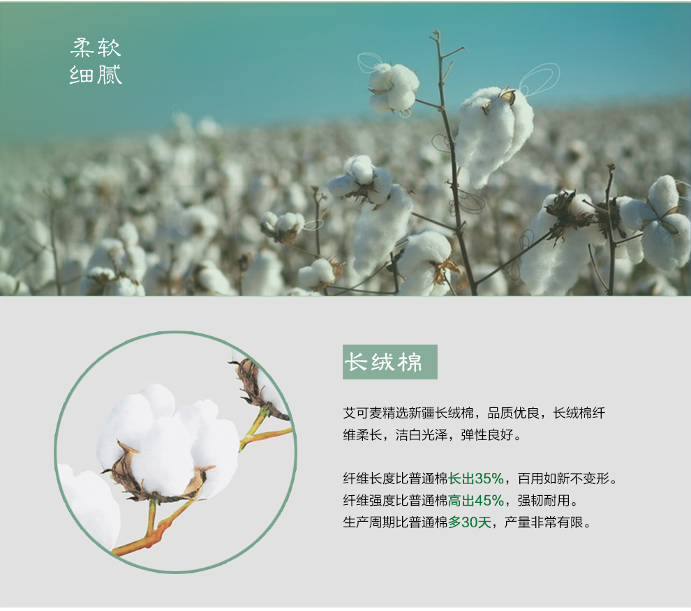 
                                        艾可麦 乳胶枕头颈椎枕护颈枕天然枕芯 白色 标准密度50D                