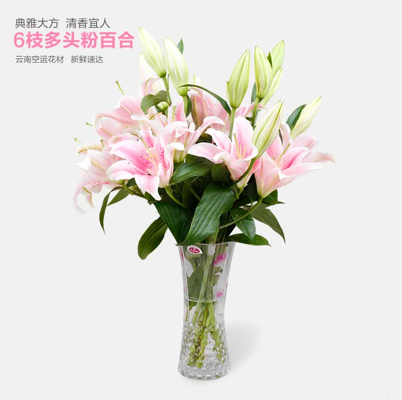 绿韵花田 家庭鲜花玻璃瓶插花香水百合花瓶 全国鲜花店送花鲜花速递