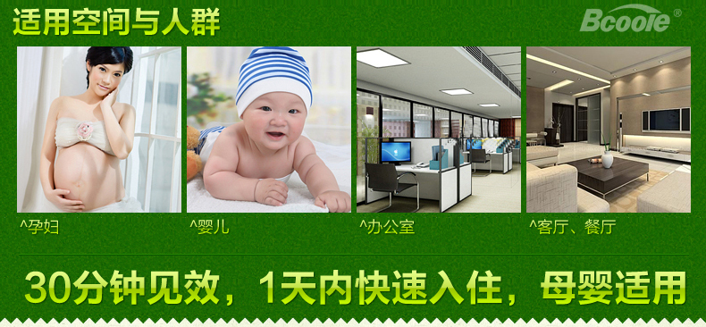 
                                        必酷蕾 甲醛清除剂 强力型家具装修去除油漆味净化剂除味喷雾喷剂                