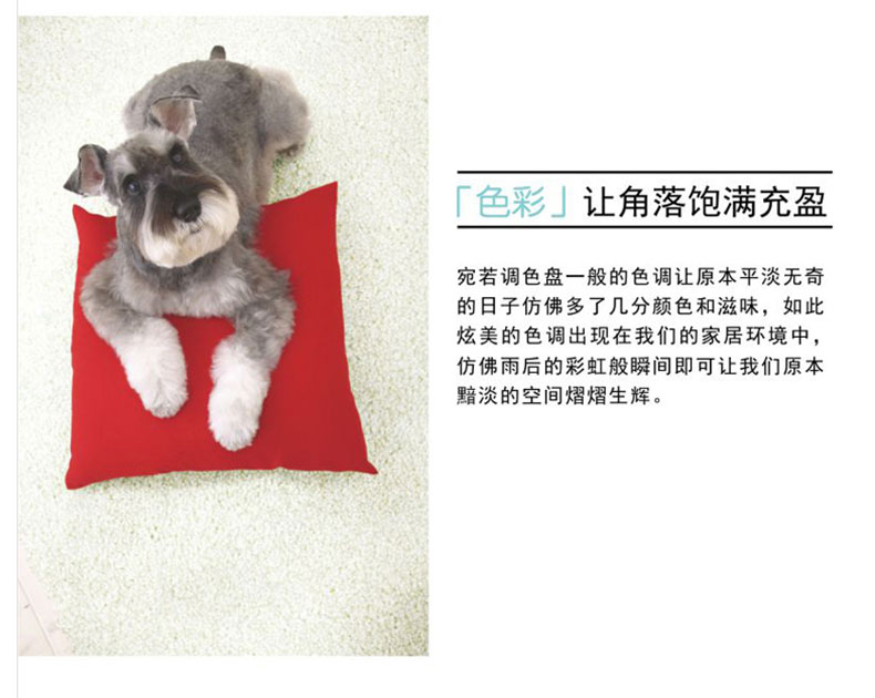 
                                        港龙地毯拼接地毯卧室满铺地毯客厅茶几拼块地毯彩色60cm*60cm H11                
