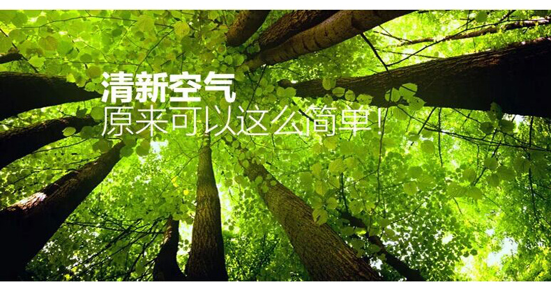 绮妙便携式加湿器精油香薰机太阳能车载空气净化器负离子氧吧汽车除甲醛新车除味办公室车用家用 UFO-998黑色