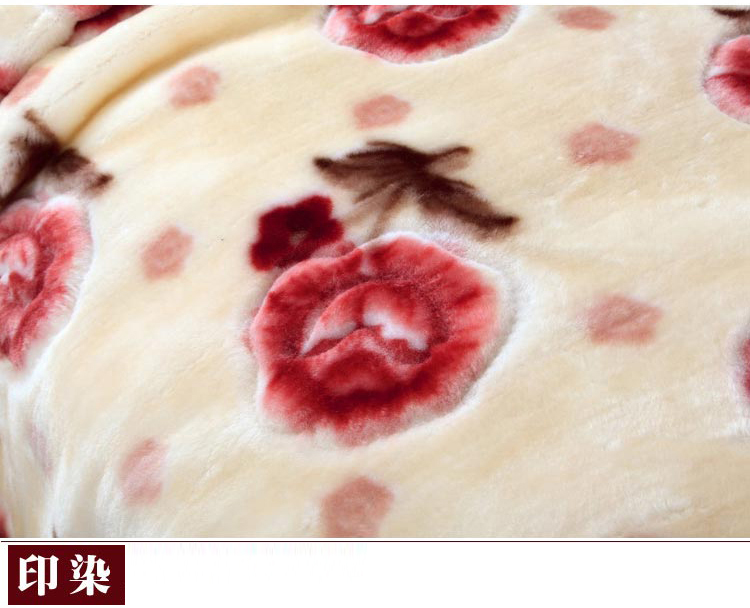 
                                        尚品凤凰 秋冬大毯子双层加厚拉舍尔毛毯 魅惑豹纹 160*210cm/5斤                