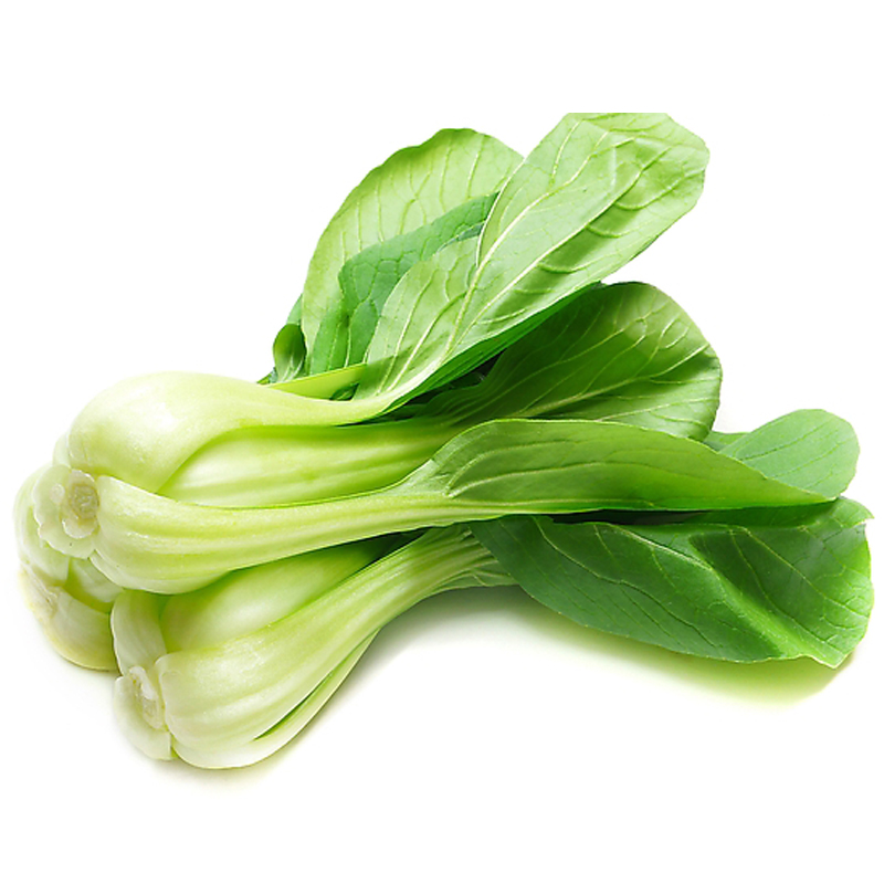 密园小农 新鲜油菜 500g 密云本地蔬菜