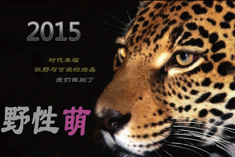 郁香衣舍2015冬季新款中长款豹纹韩版加厚保暖毛毛仿皮草冬装外套棉衣女 虎纹 S