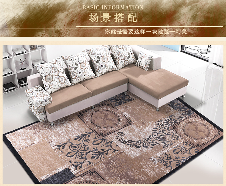 戈尔登地毯 土耳其进口现代简约客厅茶几地毯 卧室沙发垫房间地毯 土耳其进口7004黑 160cmx230cm