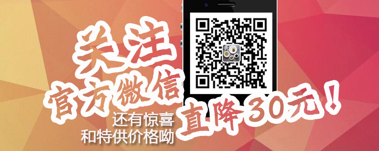 
                                        INMINDHOUSE 莺舞蝶飞典雅欧式花卉盘 牛排盘骨瓷西餐盘 平盘甜品盘两只套装                