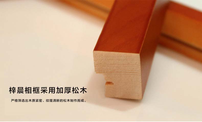 
                                        梓晨 实木照片墙 适合大气客厅 大尺寸相框创意组合相片墙HD-1621 白色送主图画芯                
