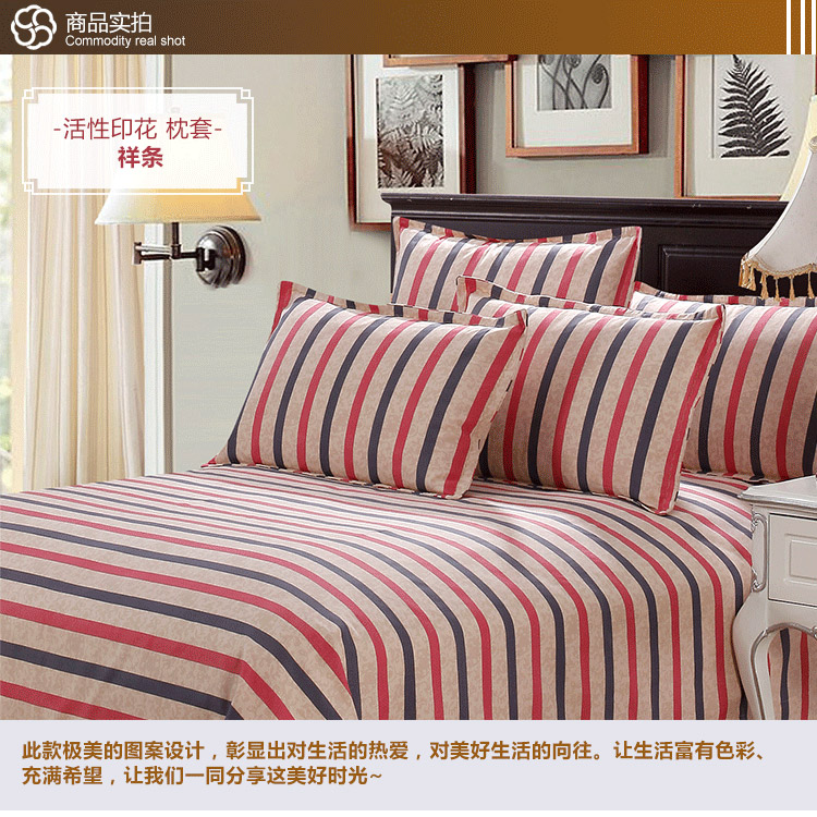 
                                        美棉坊家纺 全棉印花枕套 床上用品 粗布/活性印花/几何/大气枕套 夏之风-枕套                