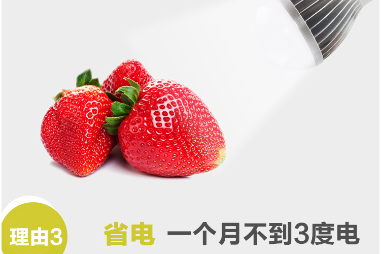 帝帛照明 环保节能灯具灯饰通用3WLED灯泡 3WLED灯泡 节能环保
