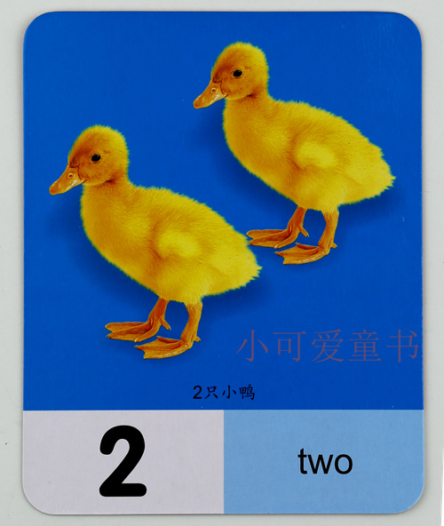 不烂早教书婴儿识字卡看动物卡水果卡认数字卡启蒙早教书幼儿学习卡片