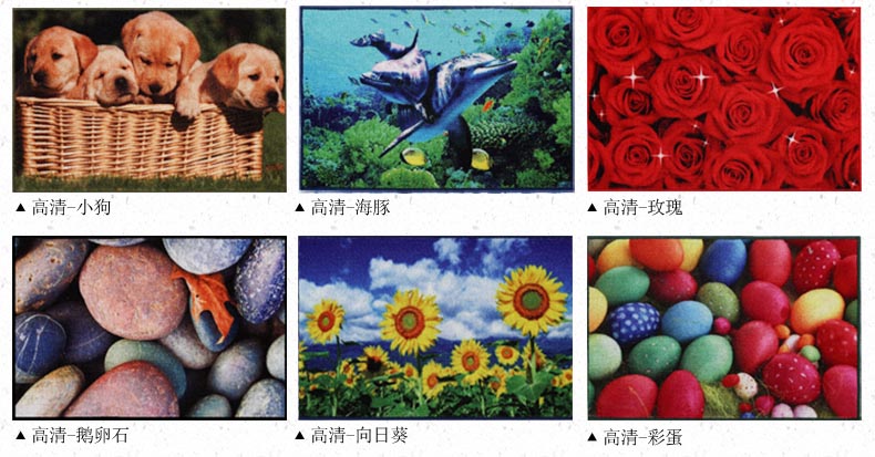 港龙 地垫脚垫吸水防滑垫浴室地垫厨房垫脚踏垫进门垫门口垫 向日葵 48cmx78cm