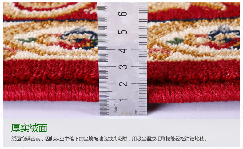 港龙 地垫脚垫吸水防滑垫浴室地垫厨房垫脚踏垫进门垫门口垫 19R 80cmx120cm