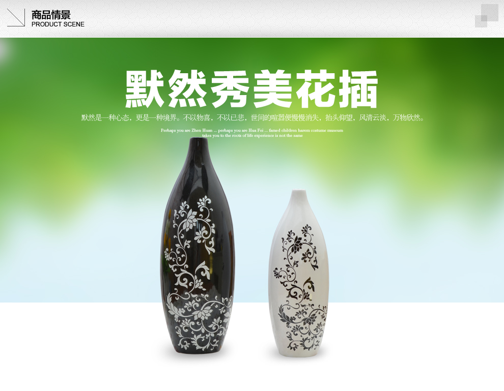 
                                        傲世瓷业 景德镇陶瓷器时尚简约家居工艺品客厅摆件家居装饰品摆设 默然秀美花插B016 黑高白低                